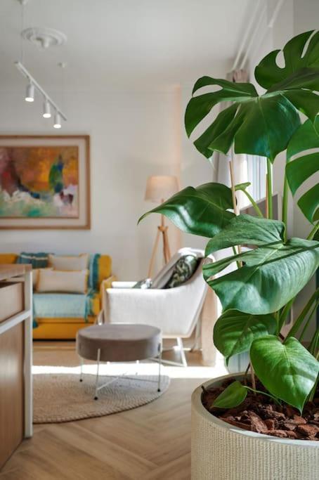 Kaizen Chania - New Central Apartment Just 350M Away With Private Jacuzzi And Free Parking! Chrissi Akti Chania Exterior foto